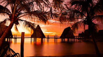 The best places to take children on London for free